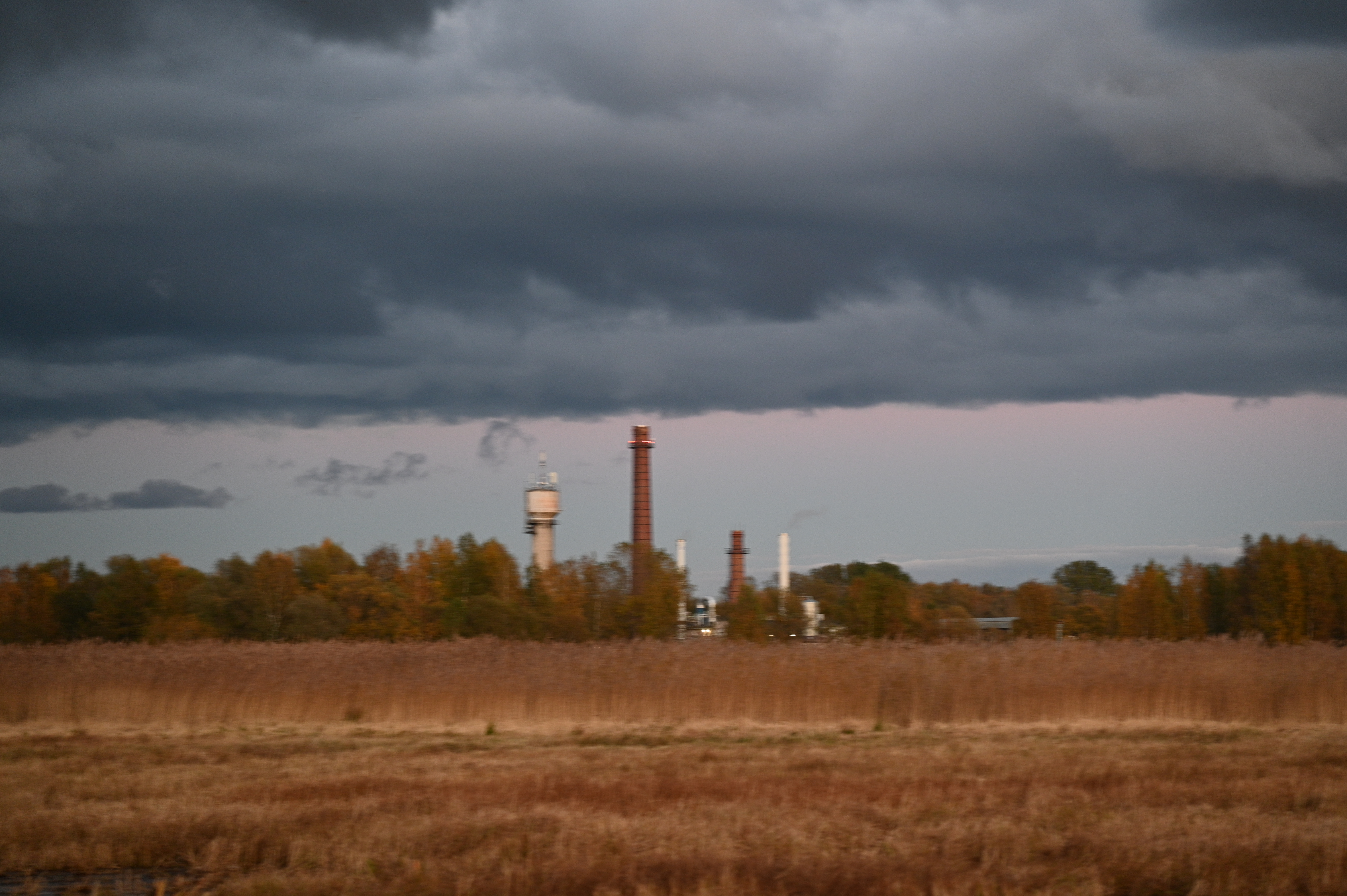 2025/10/18 - walk/DSC_0562.JPG